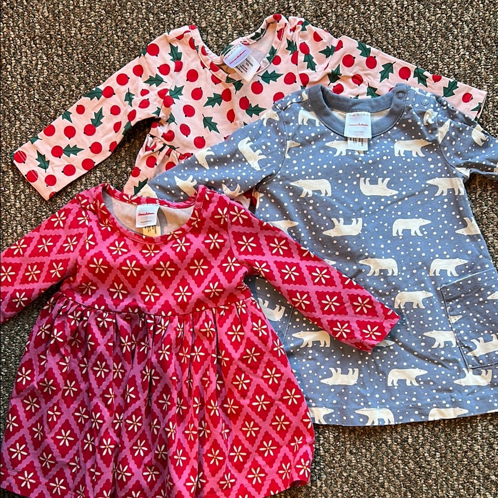 3 Hanna Andersson Long Sleeved Dresses